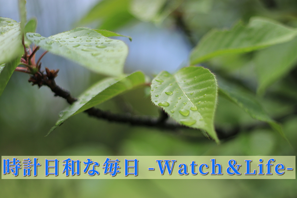 時計日和な毎日 -Watch&Life-